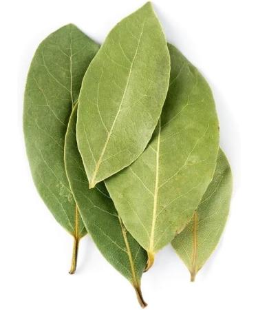 Dried Bay Leaves | Tej Patta | 50g | Hand Selected & Gently Dried | 100% Pure & Natural - Buy Online on GoSupps.com