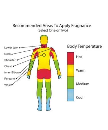 Al-Rehab Soft Eau de Parfum Spray for Women 1.18 Ounce 1.18 Fl Oz (Pack of 1) - Buy Online on GoSupps.com