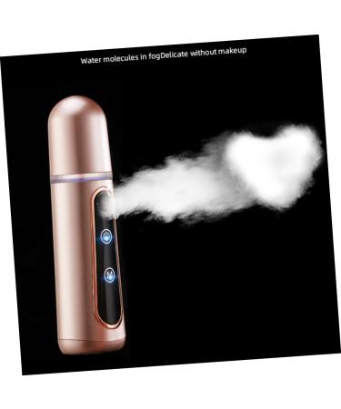 BIUDECO Facial Humidifier Facial Mist Sprayer Moisturizer Spray Steamer for Facial Mini Face Spray Device Steamboat Whitening - Buy Online on GoSupps.com