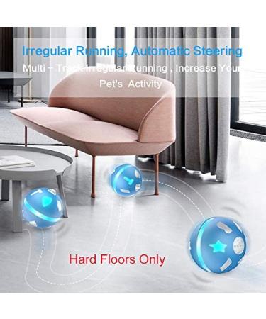 PetDroid Interactive Dog Ball Toy | Motion Activated & Durable | USB Rechargeable | For Puppy/Small/Medium Dogs - Buy Online on GoSupps.com