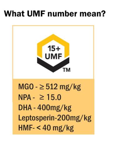 Buy Manuka Honey UMF 15+ (MGO 514) - 0.55 lb | Premium Quality International Shipping - Buy Online on GoSupps.com