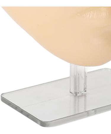 5D Makeup Practice Face with Stand Ideal for Eyebrows Eyelashes Eyeshadow Full Face Makeup Easy to Clean (Yellow Skin) - Buy Online on GoSupps.com