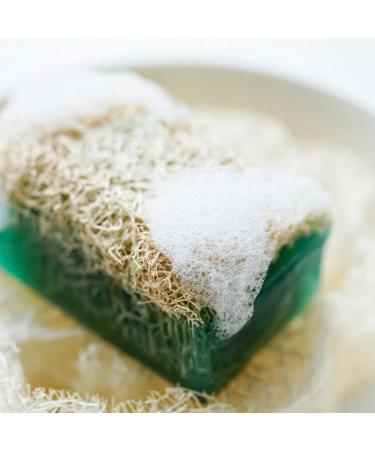 Buy Natural Handmade Aloe Vera Soap Bar with Pumpkin Fiber - 120g | Nourishing Anti-Aging Oil Balance Vitamins C & E | Treat Dryness Blackheads & Acne - International Shipping Available - Buy Online on GoSupps.com