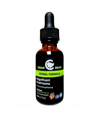 Cedar Bear Magnificent Mushrooms a Liquid Herbal Supplement That Builds The Immune System Protects Strengthens and Balances Overall Health 1 Fl Oz