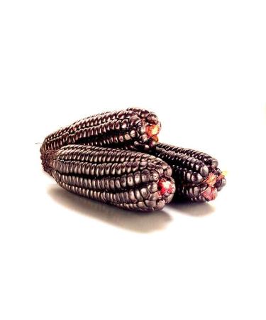 Heirloom Organic WHOLE PURPLE CORN 16 oz (1 lb.) for Brewing Beer Drinks Baking Smoothies Cornbread Tortillas - Buy Online on GoSupps.com