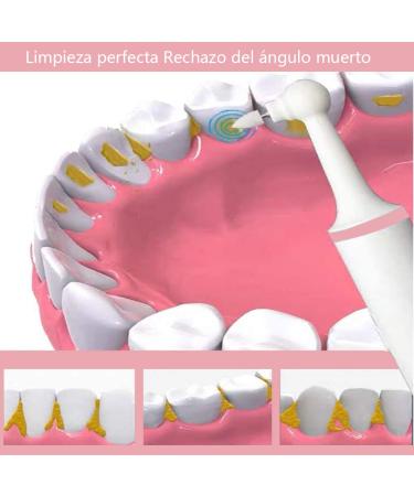 Electrical Tooth Plaque Scraper & Cleaner for Pets - 4 Polishing Heads 3 Modes - Pink - Buy Online on GoSupps.com