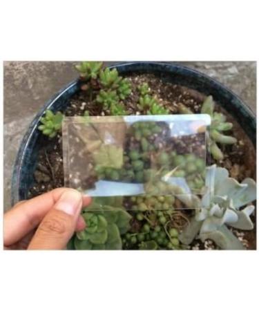 FUCAS Lot of 12 Credit Card Sized Magnifying Lenses. Wholesale Lot - 300% Fresnel Magnifier - Buy Online on GoSupps.com