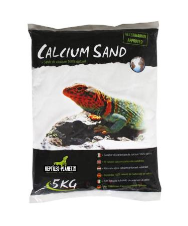 Reptiles Planet Cat Litter Sand Calcium Terrarium Calcium Sand Artic white 5 kg - Buy Online on GoSupps.com