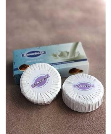 Buy Gano Soap with Ganoderma & Goat Milk - Moisturizing & Cleansing Soap for Beautiful Skin | 1 Box (2 Soaps) - International Shipping Available - Buy Online on GoSupps.com