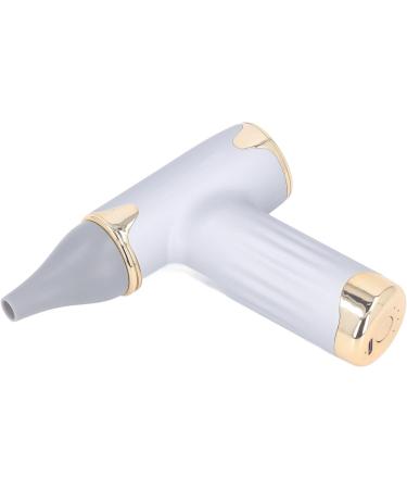 Dust Blower High Speed Bladeless Hair Dryer Easy to Carry 4 Wind Levels for Camping for Home for Cats Dogs (Silver) - Buy Online on GoSupps.com