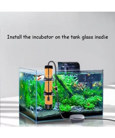 Brine Shrimp Hatchery Kit with Artemia Eggs Incubator and Silver Air Pump - Buy Online on GoSupps.com