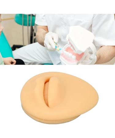 Artificial Mouth Model Soft Silicone Mouth Model Flexible Simulation Human Mouth for Body Part Display Teaching Tool Personal Care - Buy Online on GoSupps.com