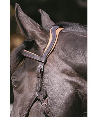 Buy Headpiece Contour Physio in Brown COB - VB | International Shipping Available - Buy Online on GoSupps.com