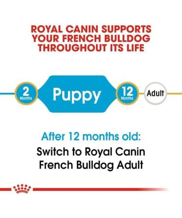 ROYAL CANIN Dog Food for French Bulldog Junior 1 kg - Buy Online on GoSupps.com