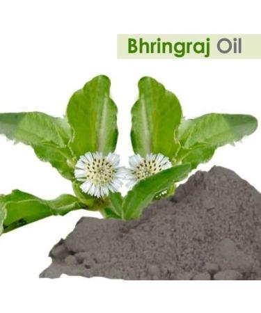Bhringraj Essential Oil 100% Natural - Cold Pressed Aromatherapy Oil - 500ml Therapeutic Grade - Buy Online on GoSupps.com