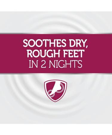 Curel Foot Therapy Cream Bundle Soothing Lotion for Dry Feet Quick Absorbing with Shea Butter Coconut Milk and Vitamin E (100mL x 6) - Buy Online on GoSupps.com
