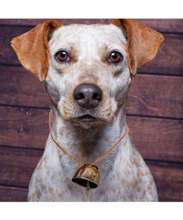 7 pack Grazing Copper Bells Metal Cow Bells for Dogs Animal Copper Loud Bronze Bell Small Brass Bell for Cow Horse Sheep Cats Small Pets Anti-Theft Accessories (Bronze) - Buy Online on GoSupps.com