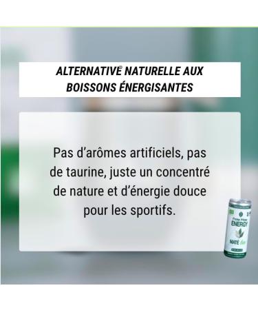  FRATE MATE Frat Mate Energy Drink Sport | Energy Drink Mate with Natural Caffeine (250ml Green Tea) - Buy Online on GoSupps.com