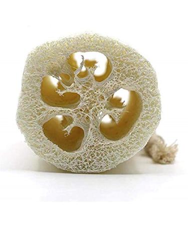 Organic Loofah Exfoliating Bath Scrubber Sponge - Ideal for Bath, Shower, and Spa (1 Pack) - Buy Online on GoSupps.com