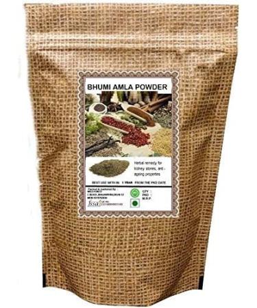 NN BHUMI AMLA Powder 400 GM