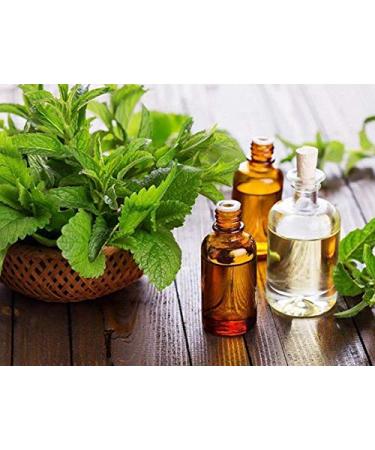 Organic Aloe Vera After Shave Balm | Soothing & Natural Skincare for All Skin Types - Buy Online on GoSupps.com