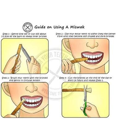 AB WORLD CLASS Natural Herbal Toothbrush Miswak Sticks - Pack of 10 Sticks - Buy Online on GoSupps.com