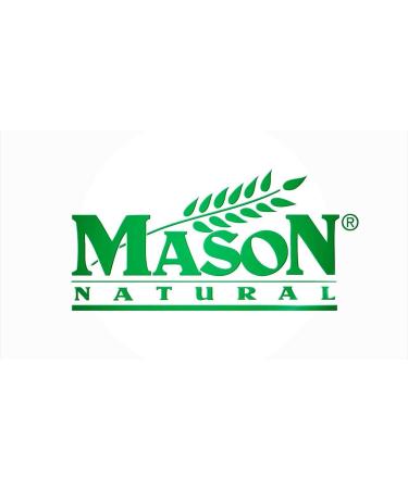 Mason Vitamins Iron Ferrous Gluconate 240mg Tablets - 100 Count Bottle - Buy Online on GoSupps.com