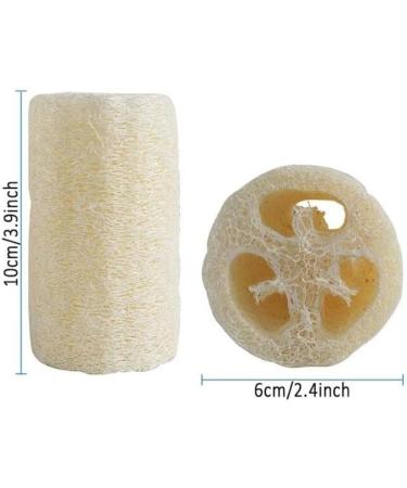4 Count Loofah Exfoliating Body Scrubber - Natural Egyptian Shower Sponge for Women & Men | Perfect for Clean Skin Care & Spa Bath - Buy Online on GoSupps.com
