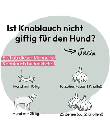 GRAU The Original 100% Pure Garlic Granules Natural Protection Against External Aggressions Supports the Body Pack of 1 (1 x 150 g) Simple Food for Dogs and Cats - Buy Online on GoSupps.com