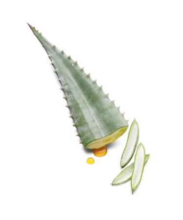 Buy Set of 2 Aloe Gel with Aloe Ferox - 100% Natural Vegan Skin Care for Face & Body | Paraben & Perfume Free Not Tested on Animals - 2x 75ml - Buy Online on GoSupps.com