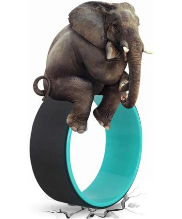 NGT 13 inch Yoga Wheel for Back Pain | Strongest Dharma Yoga Prop Wheel with Free Yoga Bands - Black-Green - Buy Online on GoSupps.com