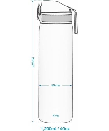 Ion8 1L Stainless Steel Drinking Bottle - Leak-Proof One-Hand Opening Dishwasher-Safe Durable & Scratch-Resistant - 1200ml Gray - Buy Online on GoSupps.com