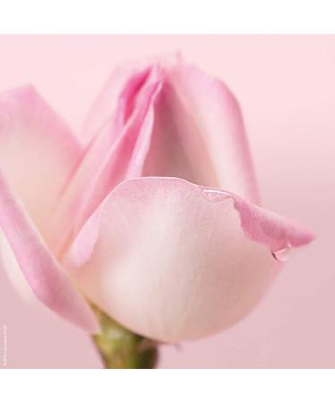 Nuxe Lait Demaquillant Comfort Rose Petals Cleanser - Buy Online on GoSupps.com