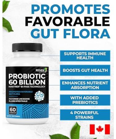 Renew Actives Probiotic Supplement for Digestive Health 60 Billion CFU per 2 Capsules - Advanced Formula with Prebiotic Benefits - Supports Gut Flora Balance & Wellness - Made in Canada - 60 Capsules - Buy Online on GoSupps.com