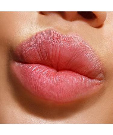 Dermelect Smooth & Supple Lip Mask Melt Anti Aging Lip Balm with Castor Oil Jojoba Abyssinian Evening Primrose Oil Hydrating & Replenishing for Dryness Chapped Lips Flakiness Cracked Skin 0.5 oz 1 Count (Pack of 1) - Buy Online on GoSupps.com