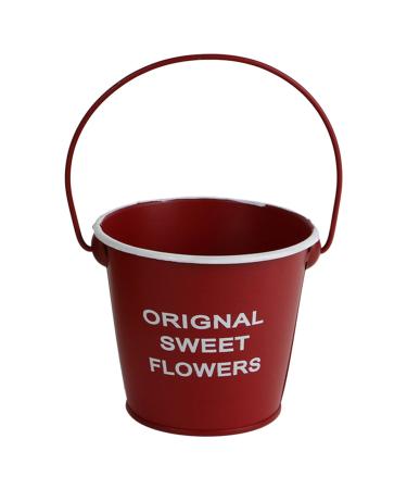 Muloo Mini Pots Plant Decorations Mini Succulent Plant Flower Small Metal Flower Bucket Planter Iron Bucket Hanging Red