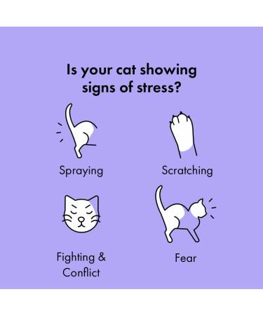 Calming Pheromones Starter Kit for Cats | Itch | Anxiety & Stress Relief | Plug-in Diffuser & 30-Day Refill - Buy Online on GoSupps.com