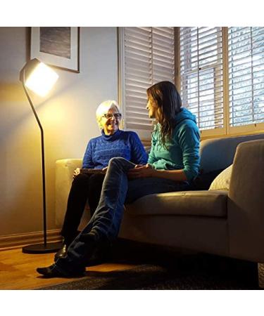 Northern Light Technologies Flamingo 10,000 Lux Bright Light Therapy Floor Lamp - Black - 4ft - Buy Online on GoSupps.com