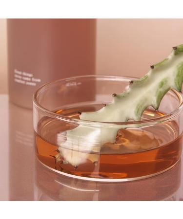 Huxley Secret of Sahara Conditioning Essence Toner: Free Shape, Korean High Moisture Hydrating Skin Prep, Dry Skin Care, Cactus and Ceramide NP | 300ml /10.1 fl. oz. - Buy Online on GoSupps.com