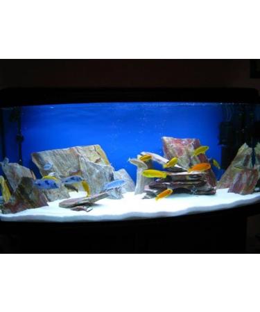 Wyskont Slate Stones - 5kg Rainbow Aquarium & Terrarium Decoration - Natural Stone Accessories for Aquascaping & Caves - Buy Online on GoSupps.com