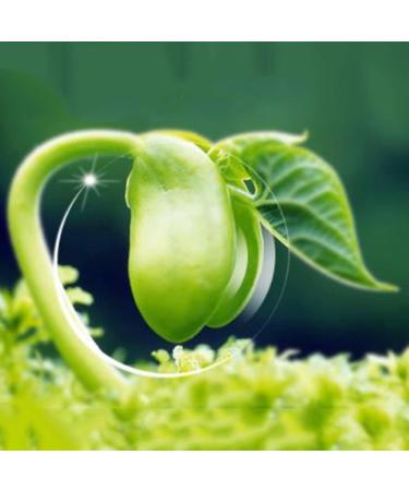 Buli Oval Reading Glasses +2.5 | Blue Light Blocking Semi-Glasses for Men & Women - Black Reading Aid - Buy Online on GoSupps.com