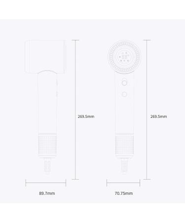 1600W Ionic Hair Dryer 110000RPM High Speed Negative Ion Hair Dryer for Home (US Plug 110V) - Buy Online on GoSupps.com