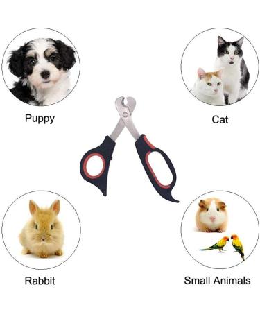 Rjsqaqe Pet Nail Clippers - Professional Claw Cutters for Guinea Pigs Birds Puppies & Kittens | International Shipping Available - Buy Online on GoSupps.com