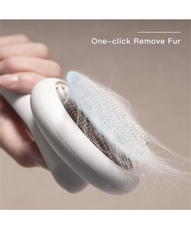 Marchul Self-Cleaning Slicker Brush for Cats and Small Dogs - Grooming, Shedding, and Massage Tool for Short or Long Hair - Removes Loose Undercoat and Tangled Fur - Small Pet Hair Brush - Blue - Buy Online on GoSupps.com