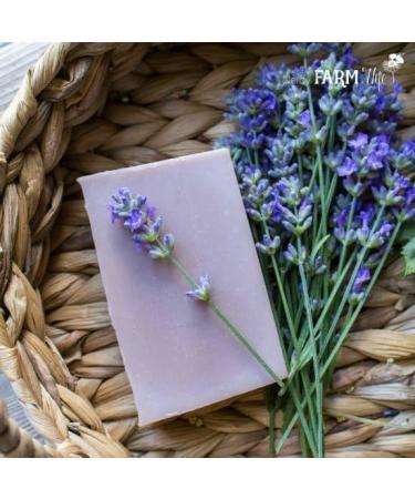 Lemongrass Verbena - 100% Pure Essential Oil by Nature's Note Organics - 1 Fl Oz - Buy Online on GoSupps.com