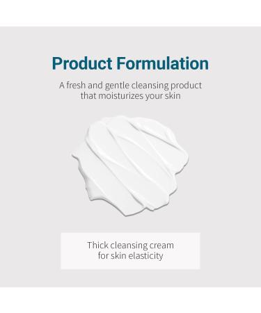 Be the Skin BHA+ Pore Zero Cleansing Foam 5.07 oz | Pore Care & Sebum Control Face Wash | Sensitive & Combination Skin - Buy Online on GoSupps.com