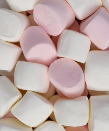 Marshmallow Toasting Kit with Chocolate Nutella For Valentines Day Camping Date Night Set Halloween Guy Fawkes Bonfire Night Xmas Christmas Complete Set with Long Skewers for BBQ Parties - Buy Online on GoSupps.com