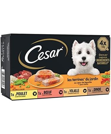 PET SHOP - Vegetable Heart Tray in Terrine 600G - Pack of 3 - Sold by Pack - Buy Online on GoSupps.com