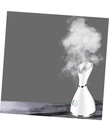 Baluue 2pcs Household Steaming Face Instrument Beauty Steaming Face Instrument White - Buy Online on GoSupps.com