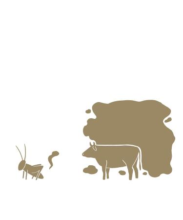 Entosus Trial Set: 5 Flavor Crunchy Insect Protein Snacks | Sustainable Meat Substitute | 100g Pack for Grilling & Cooking in Germany - Buy Online on GoSupps.com